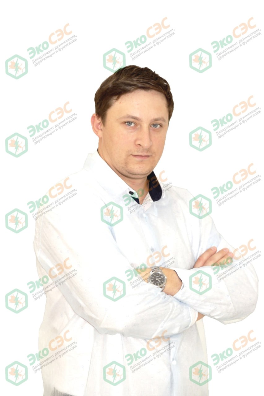 Отлов птиц