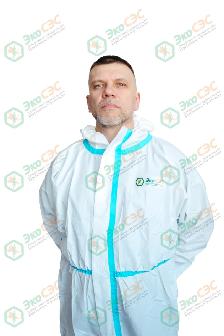 Специалист по удалению плесени